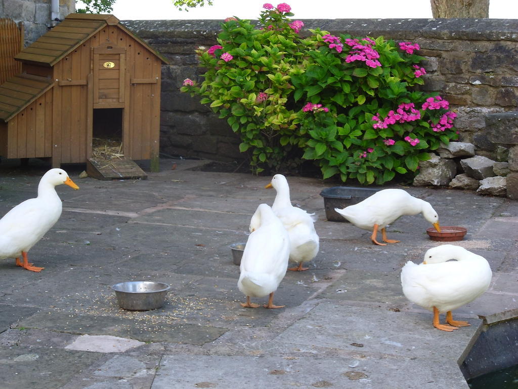 Tithe Barn Bed And Breakfast Carnforth Ngoại thất bức ảnh